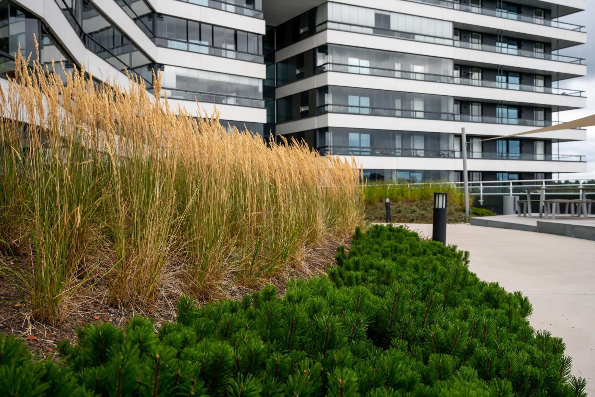 Luxury Penthouse With Stunning Sea Views & Private Sauna Helsingfors Eksteriør bilde